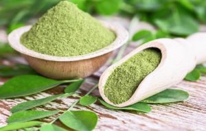 moringa çayının faydaları
