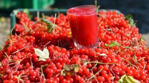 gilaburu nedir, gilaburu faydaları