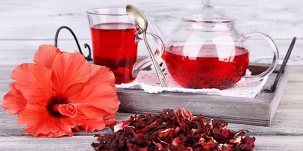 Yağ Yakıcı Hibiskus Şerbeti Faydaları Nelerdir?