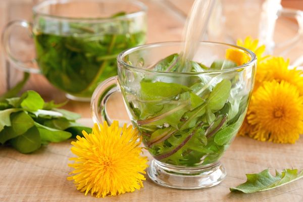 Karahindibanın Faydaları Nelerdir? Karahindiba Ne İşe Yarar? Karahindiba Çayı Nasıl Yapılır?